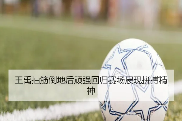 王禹抽筋倒地后顽强回归赛场展现拼搏精神